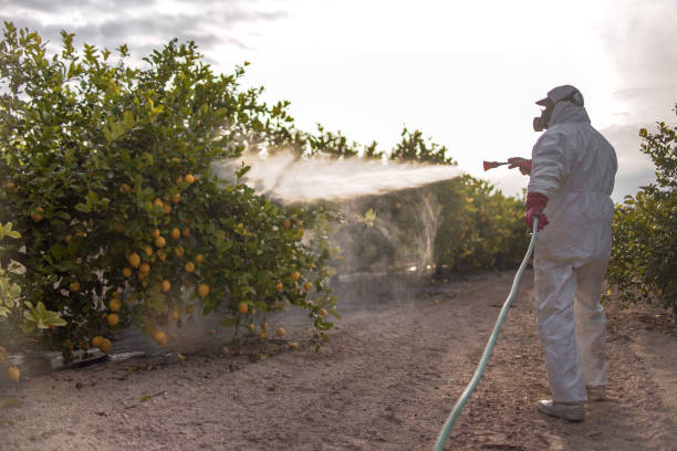 Best Cockroach Control Services  in Wauchula, FL