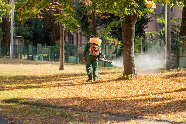 Best Termite Control Services  in Wauchula, FL