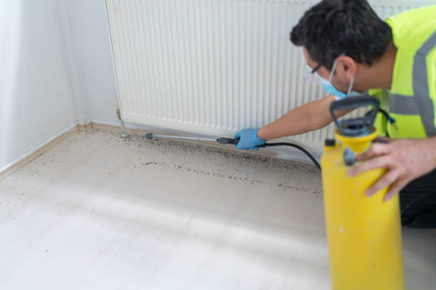 Best Pest Control Near Me in Wauchula, FL