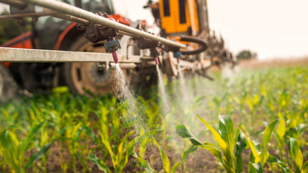 Best Commercial Pest Control Services  in Wauchula, FL